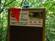 63 Qui lasciamo il sentiero principale per passare dal Nido dei falchi di Sedrina